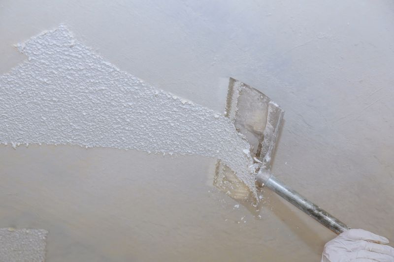 Ceiling Scraping